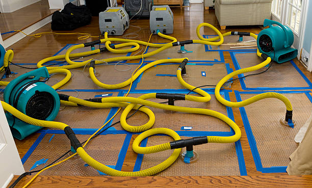 Professional Basement Flood Cleanup technician working in Sapphire, NC